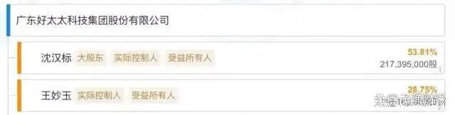 、净利下滑旗下电动晾衣机曾抽查不合格马竞合作伙伴好太太去年前三季度营收(图5)